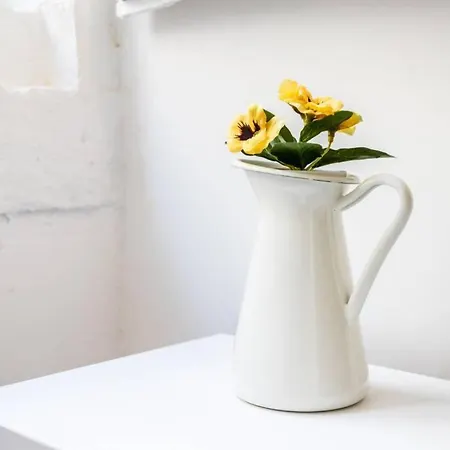 Historical Center Renewed Lisboa