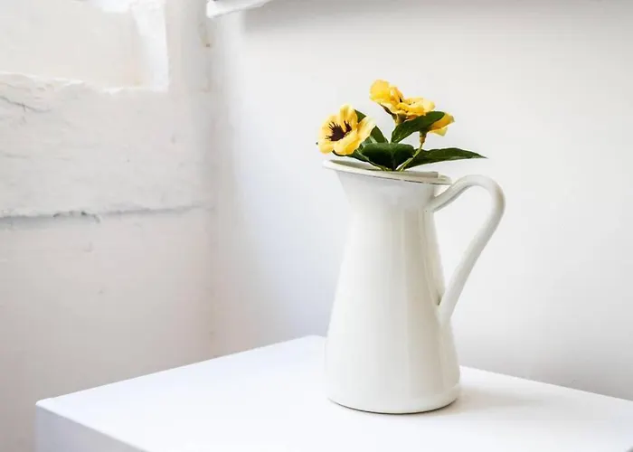 Historical Center Renewed Lisboa